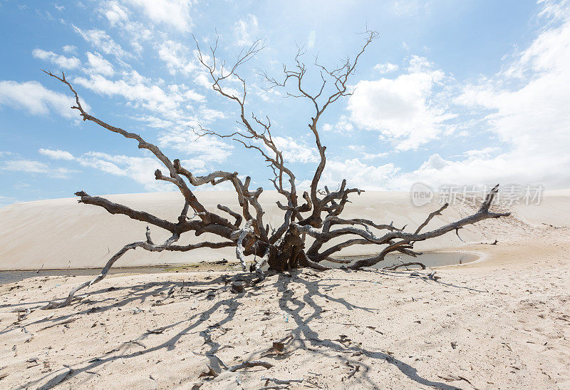 lencoois Maranhenses 11, maranhao，巴西。